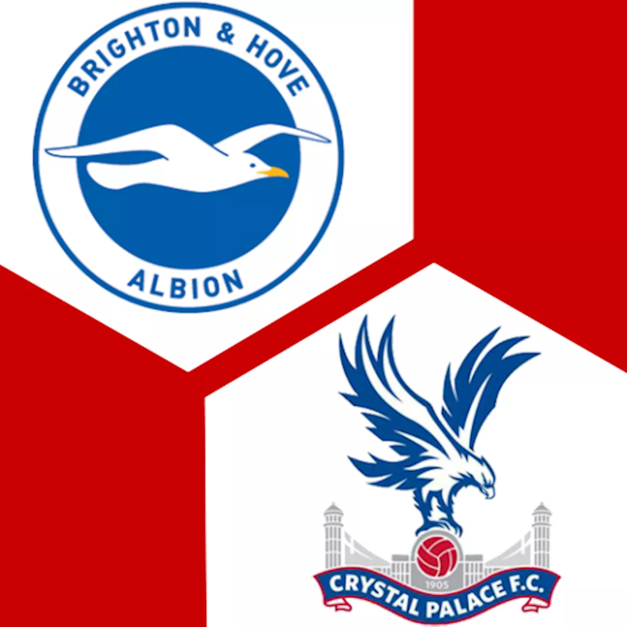 Brighton &amp; Hove Albion - Crystal Palace : | 16. Spieltag