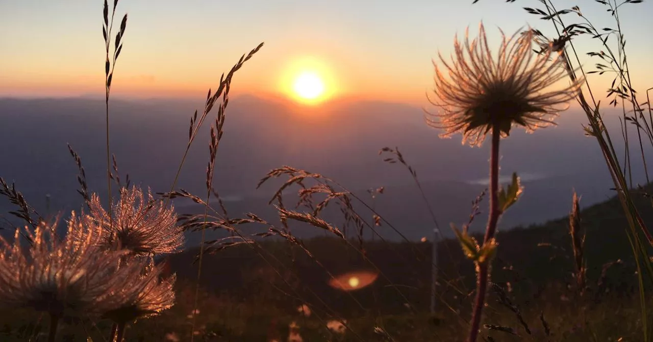 Wetterumschwung: Die Woche vor Weihnachten wird sonnig und mild