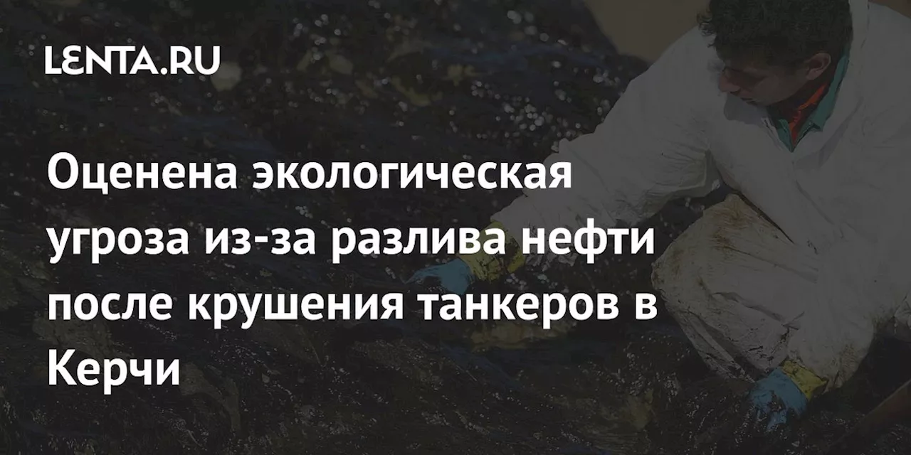 Оценена экологическая угроза из-за разлива нефти после крушения танкеров в Керчи