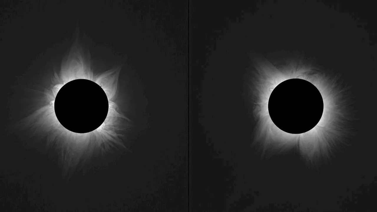 Space photo of the week: The sun's corona blooms during back-to-back solar eclipses