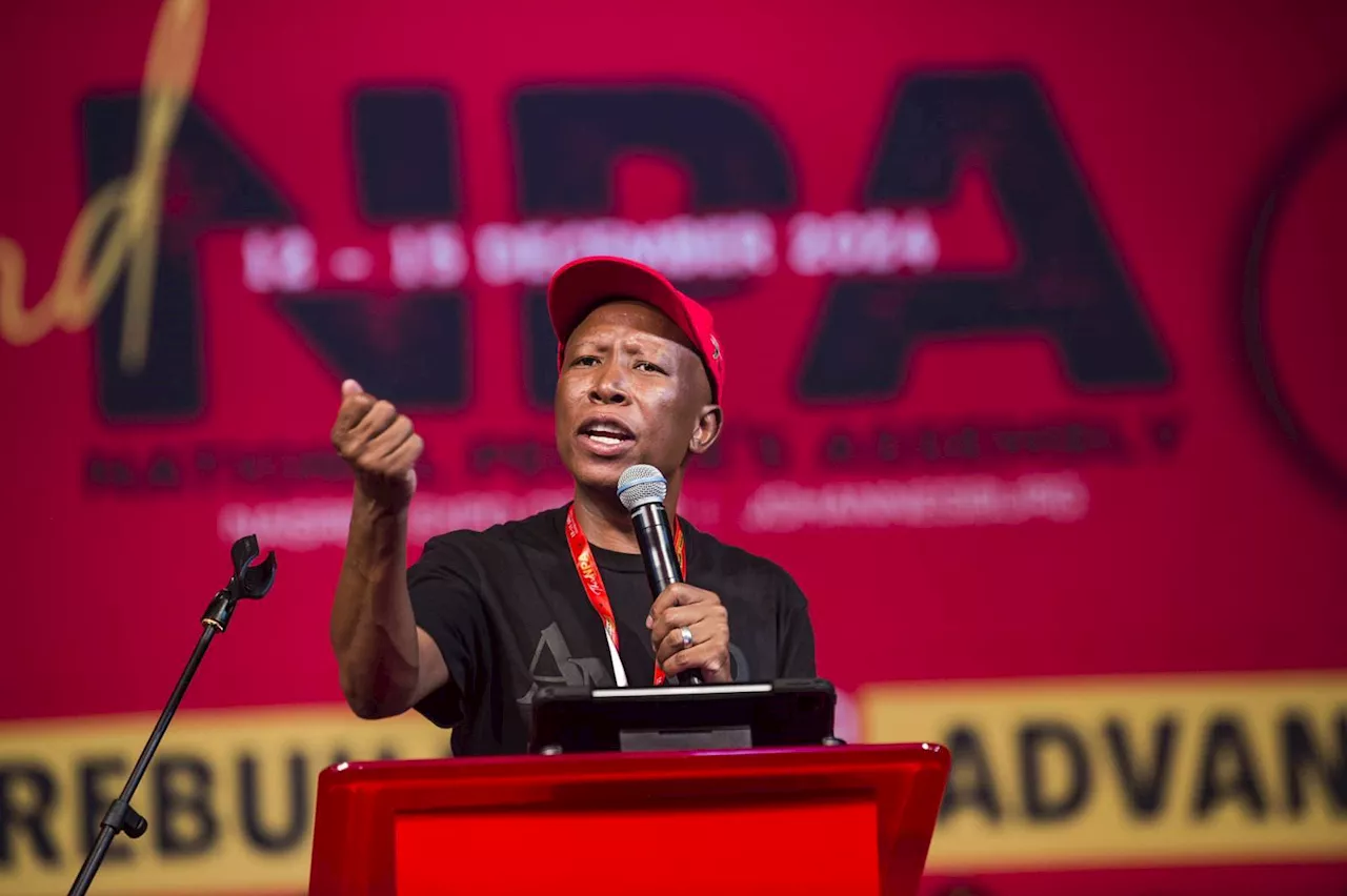 Malema predicts ANC 2027 conference will elect a president who is anti GNU