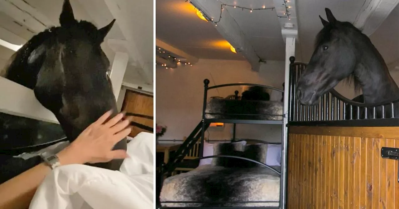 Lake District farm charges £350 a night for guests to stay in stables with horses