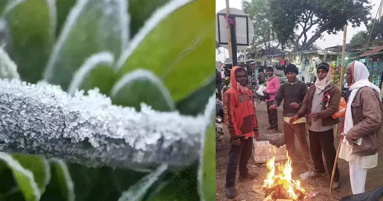 Severe Cold Alert: टहनियों में जम गई बर्फ, 3 डिग्री तक पहुंचा रात का तापमान, अगले दो दिनों तक इन 12 जिलों में शीतलहर का येलो अलर्ट