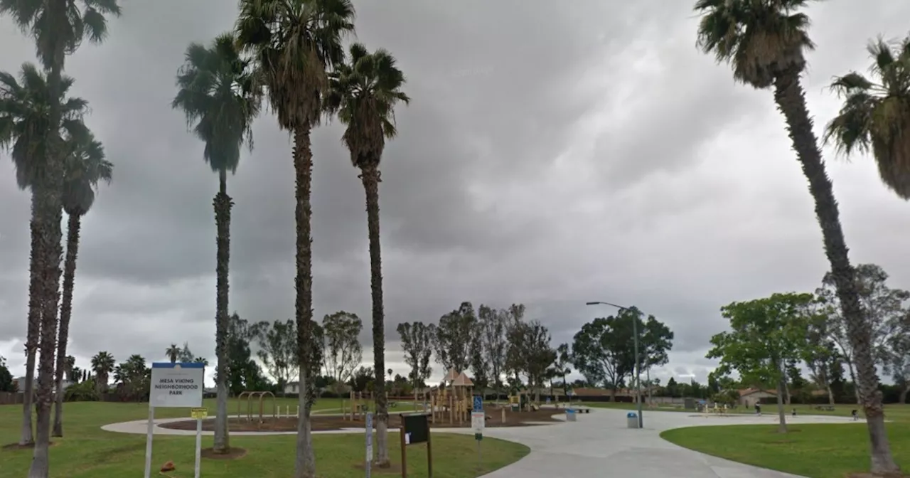 3 dogs kill owner and injure bystander at a San Diego park