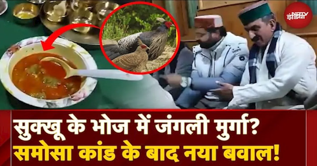 Sukhu Jangli Murga Kand: Himachal में CM सुक्खू के Dinner में परोसा गया जंगली मुर्गा! BJP का हमला