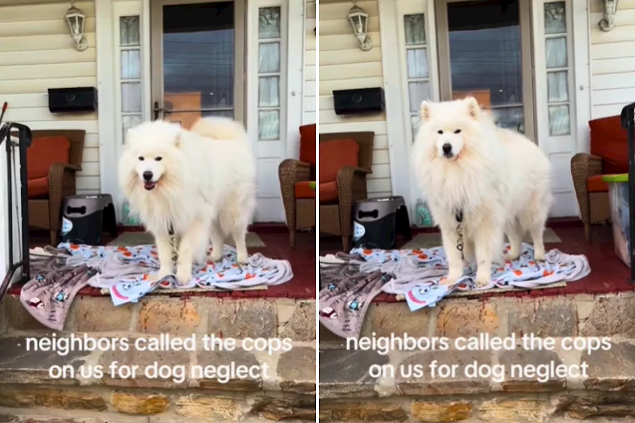 Dog Owner Gets Visit From Cops After Neighbor's Call—Can't Believe Reason