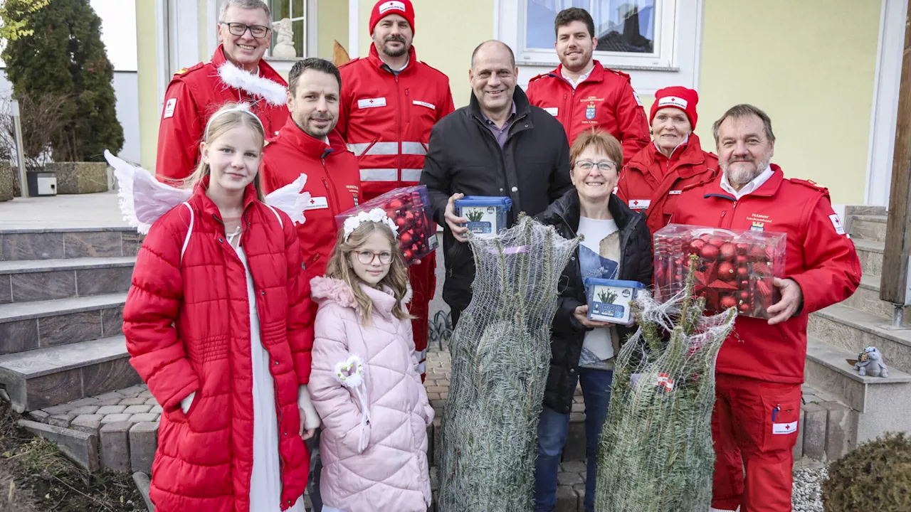 Rotes Kreuz rückte mit Christbäumen in Hochwassergebiete aus