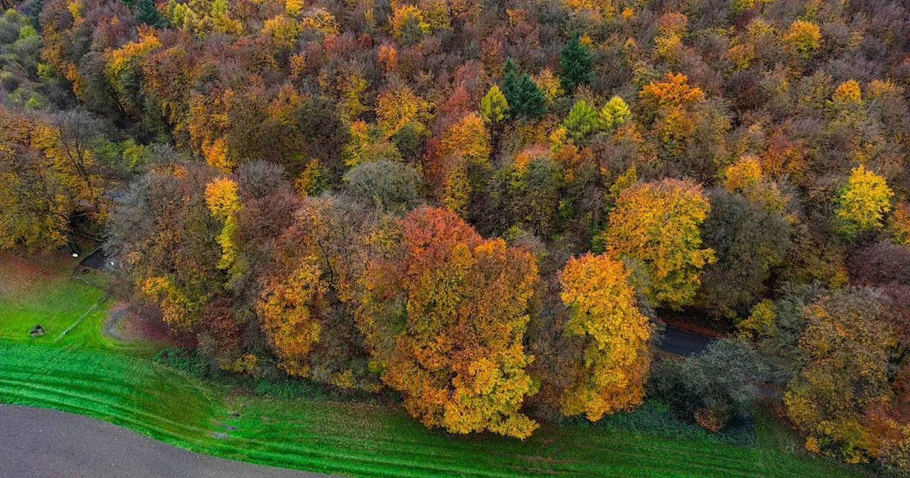 Nationalpark-Idee in NRW nach dem letzten Bürgerentscheid nun gescheitert