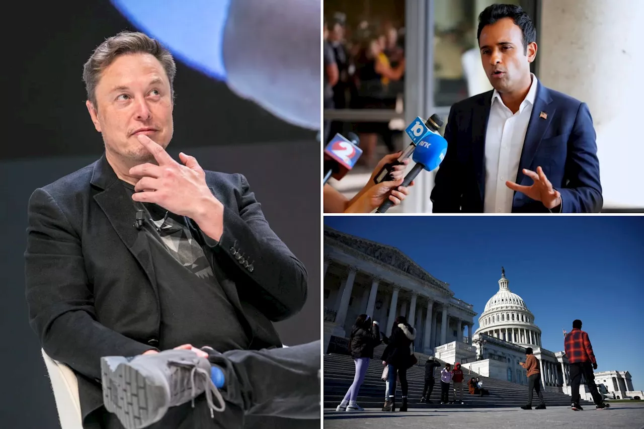 Elon Musk, Vivek Ramaswamy point to agencies Department of Government Efficiency will trim, get 'deleted'