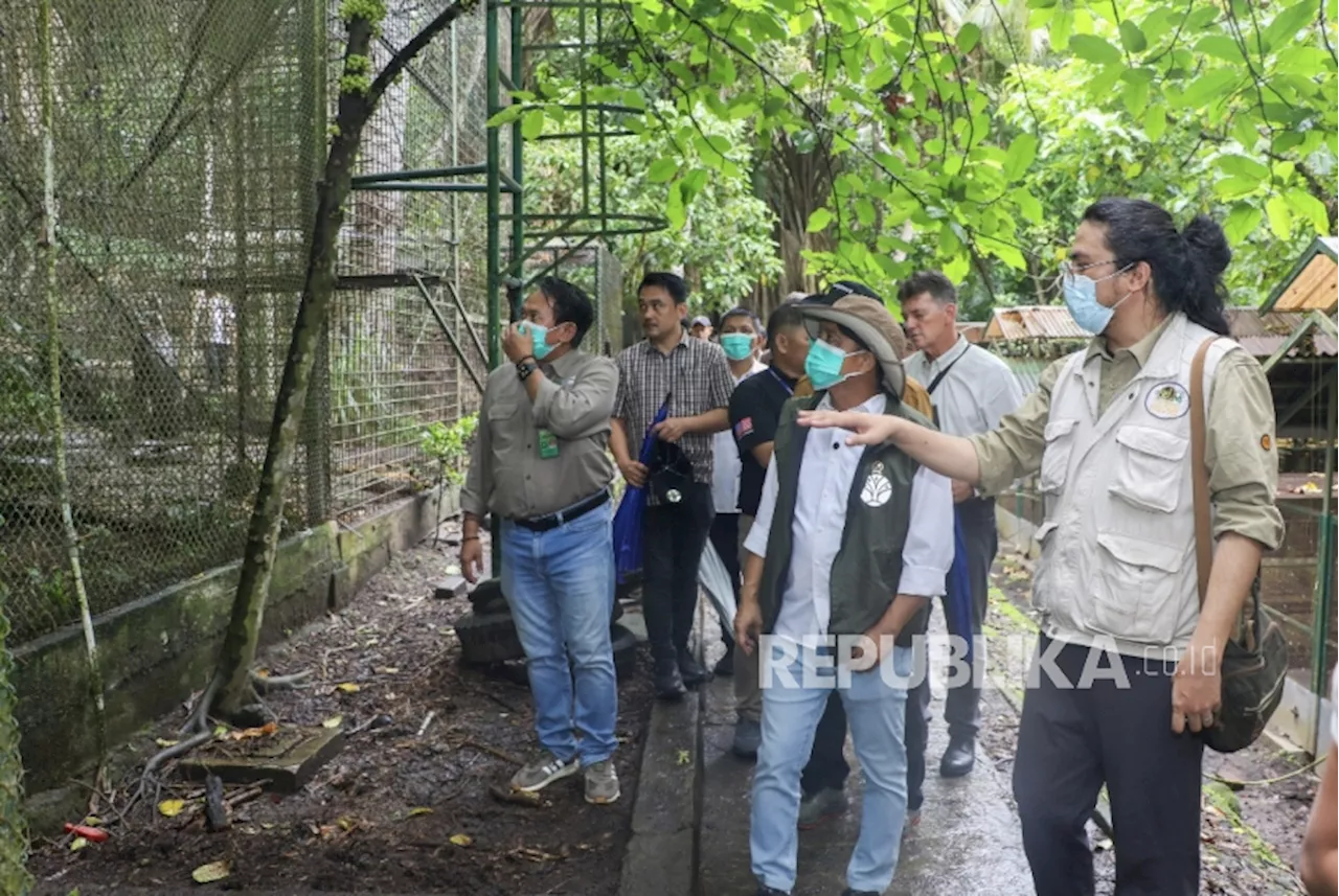 Menhut Minta Upaya Antisipasi Penyelundupan Satwa Ditingkatkan