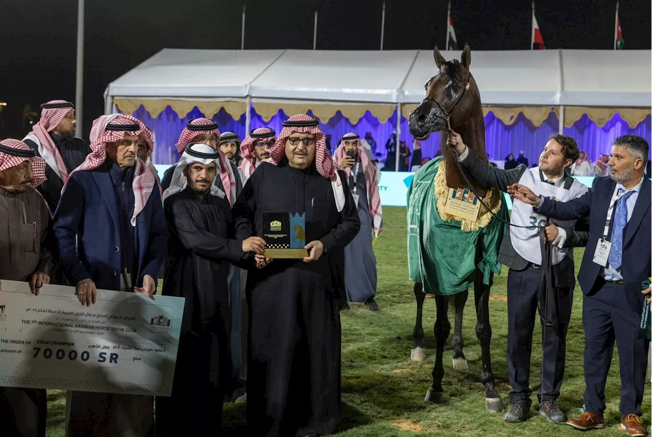 في العرض الدولي السابع لجمال الخيل العربية الأصيلة.. مربط عذبة يتوج بألقاب وميداليات