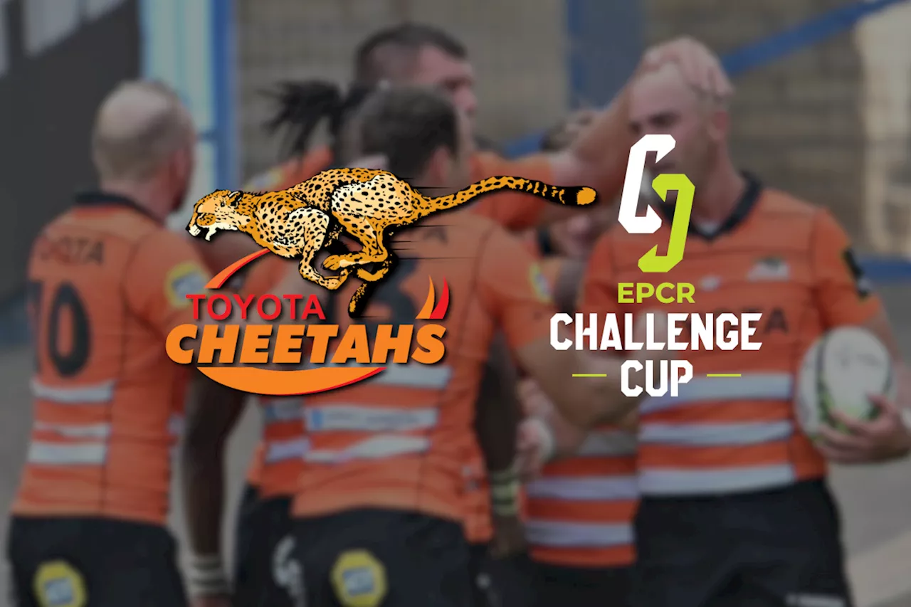 Cheetahs struggles continue against Cardiff