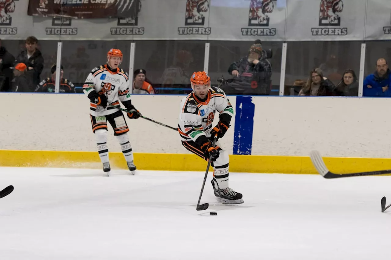 Positives to take for Telford Tigers despite defeat