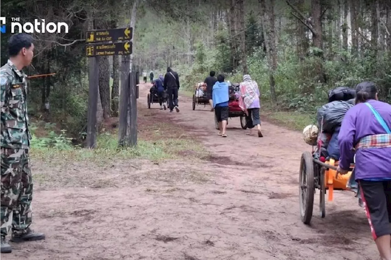 Thai national park closed indefinitely after tourist killed by wild elephant