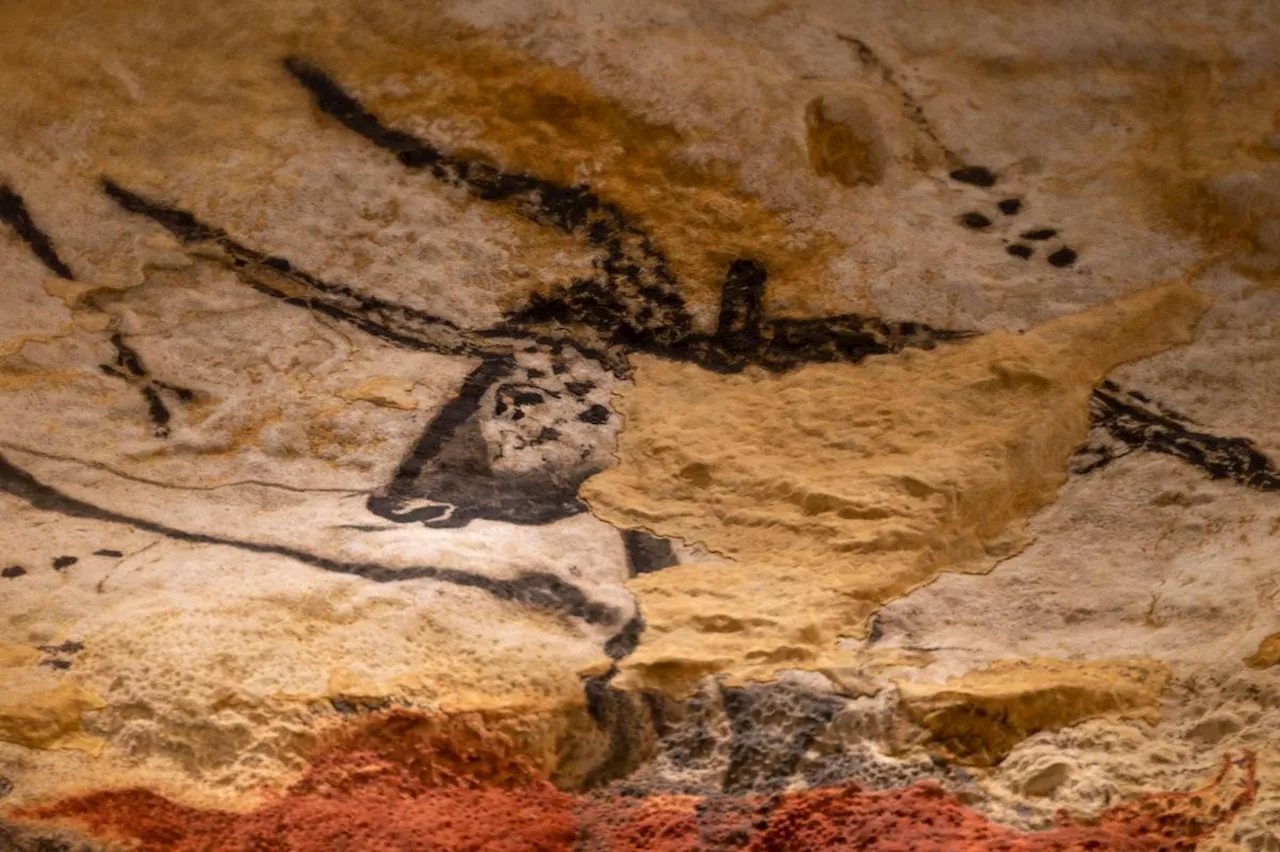 Lascaux IV : des travaux à aujourd’hui, dix ans du site périgourdin en images