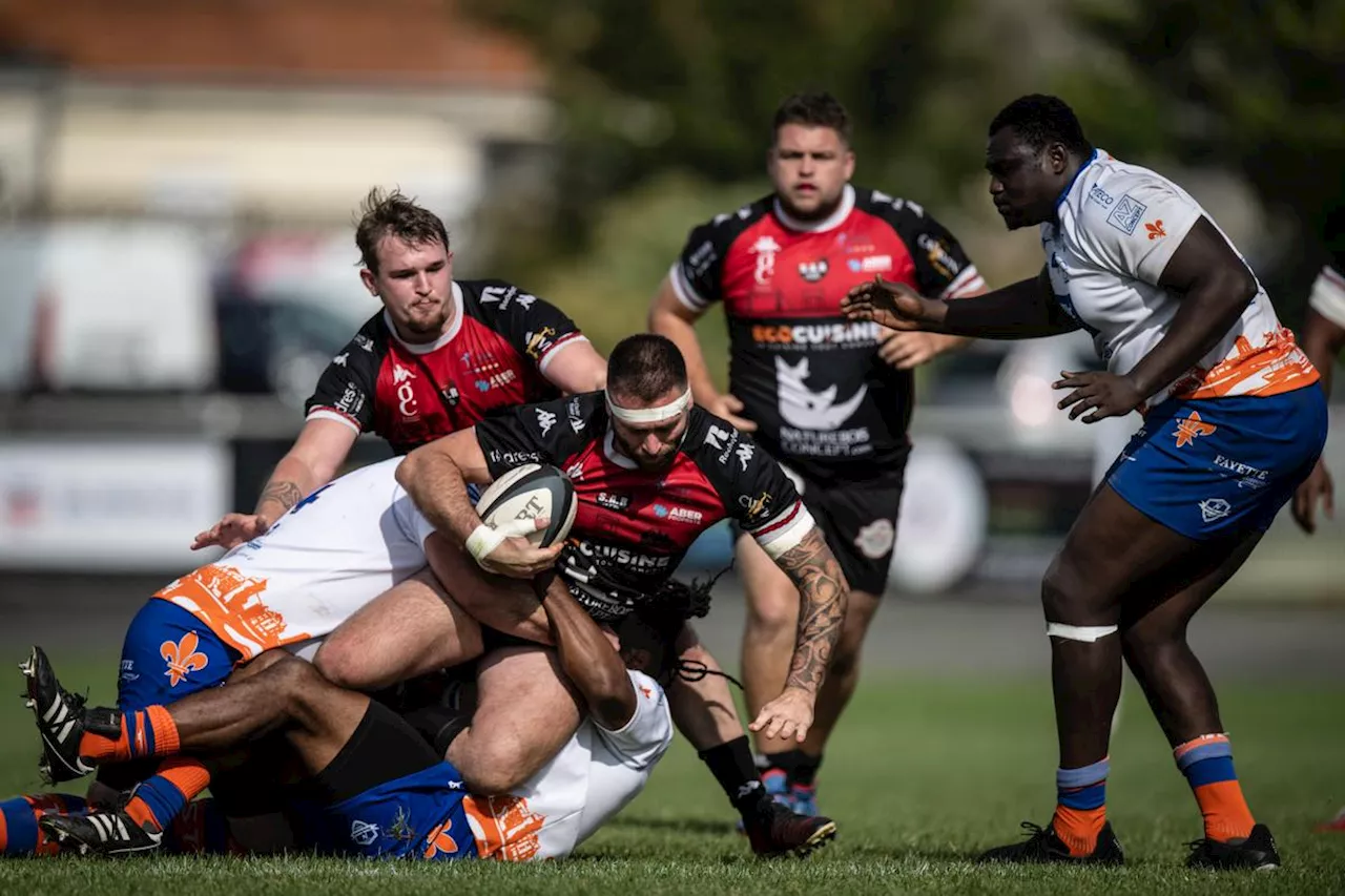 Rugby (Fédérale 2) : Rochefort, un partage des points dans la confusion