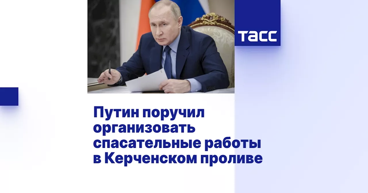 Путин поручил организовать спасательные работы в Керченском проливе