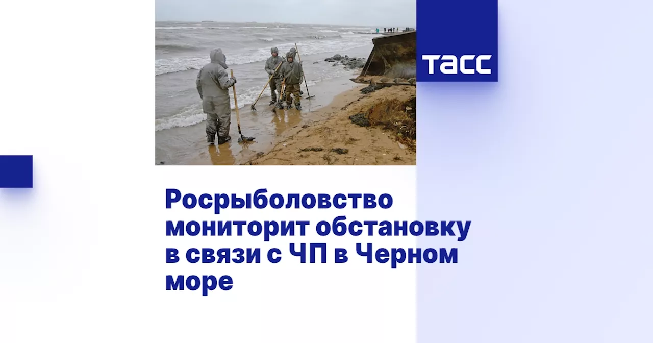 Росрыболовство мониторит обстановку в связи с ЧП в Черном море