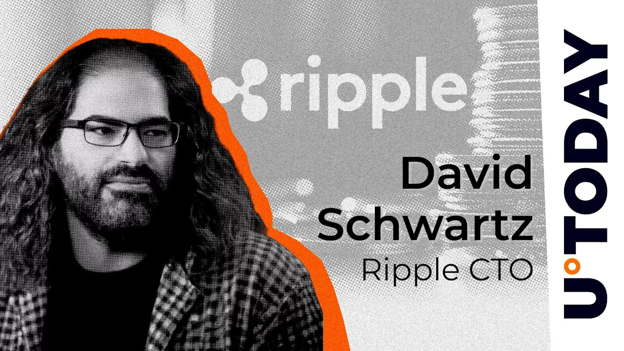 Ripple's IPO Countdown: David Schwartz Exposes Pre-IPO Stock Pitfalls