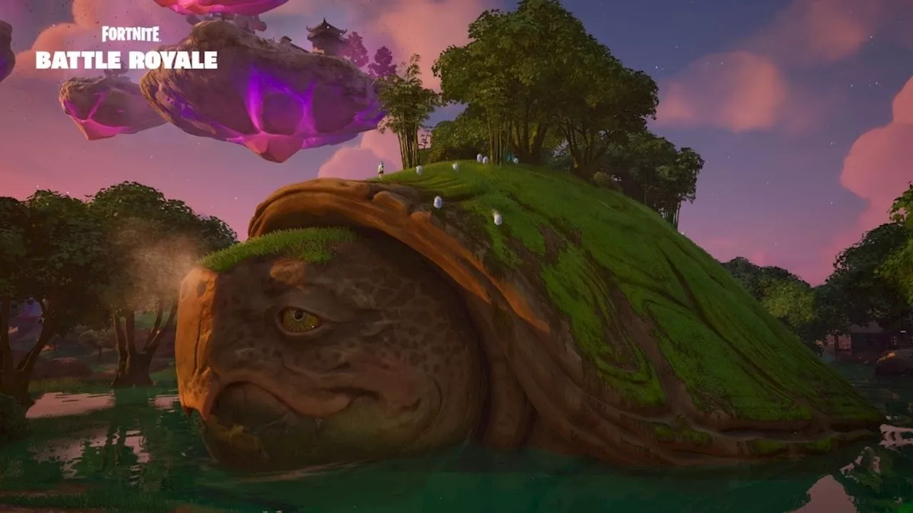 Where to find Giant Turtle in Fortnite Chapter 6 Season 1