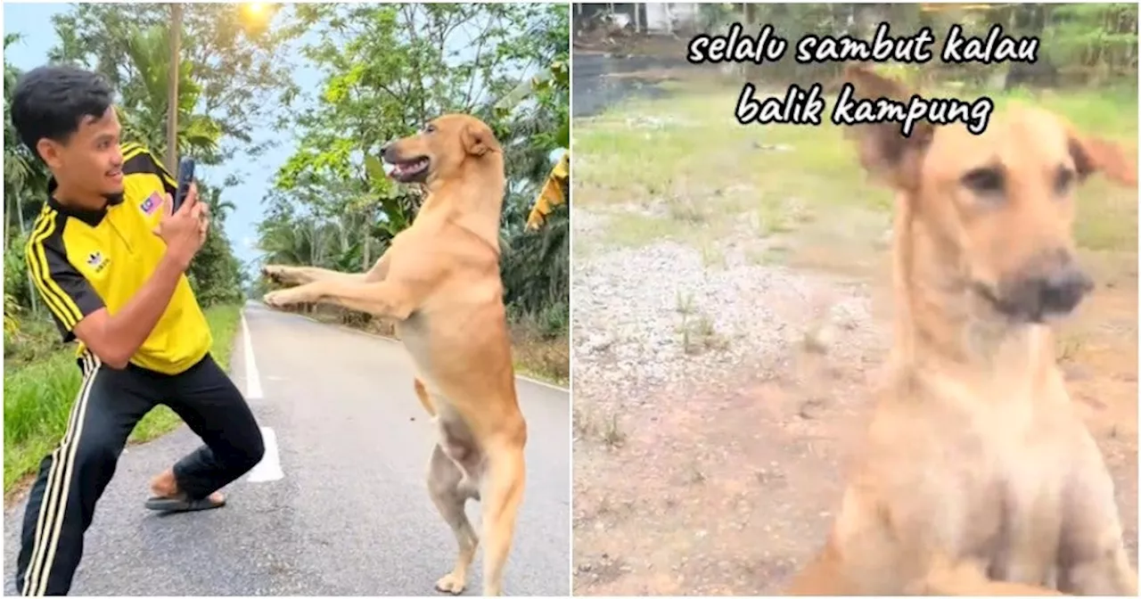 'Muslims can't rear dogs for no valid reason' - M'sian Bids Emotional Goodbye to His Dog After Years Together