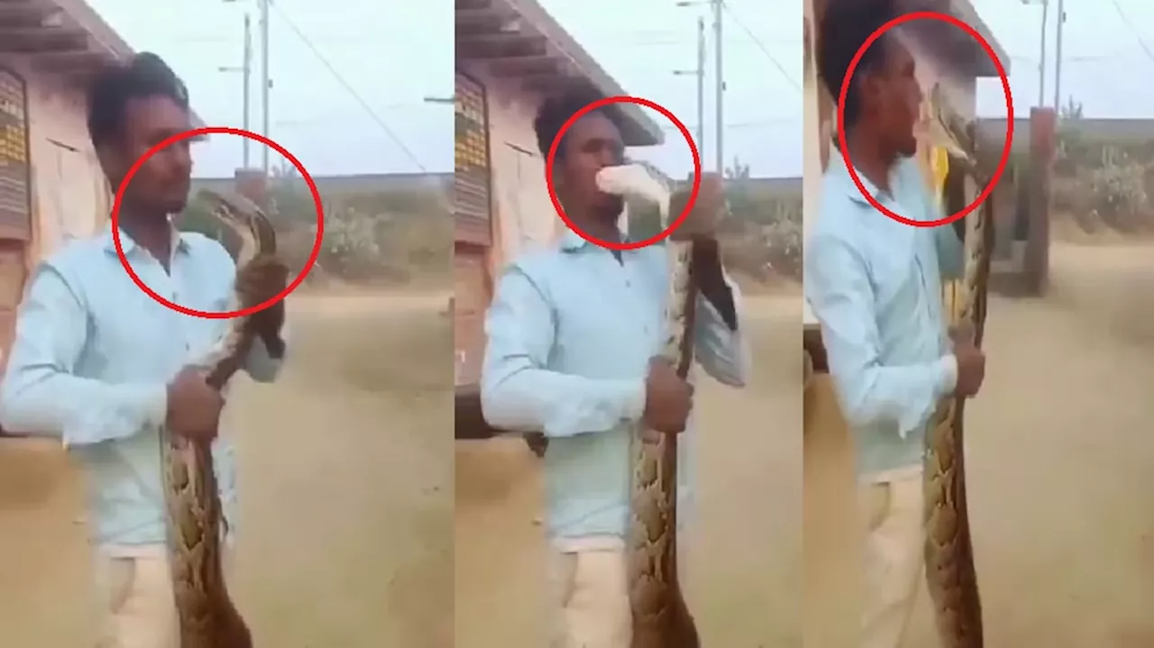 Viral Video: ಹಾವಿನೊಂದಿಗೆ ʼಸರಸʼವಾಡಲು ಹೋದವನಿಗೆ ಏನಾಯ್ತು ಗೊತ್ತಾ..? ಭಯಾನಕ ವಿಡಿಯೋ ನೋಡಿ!!