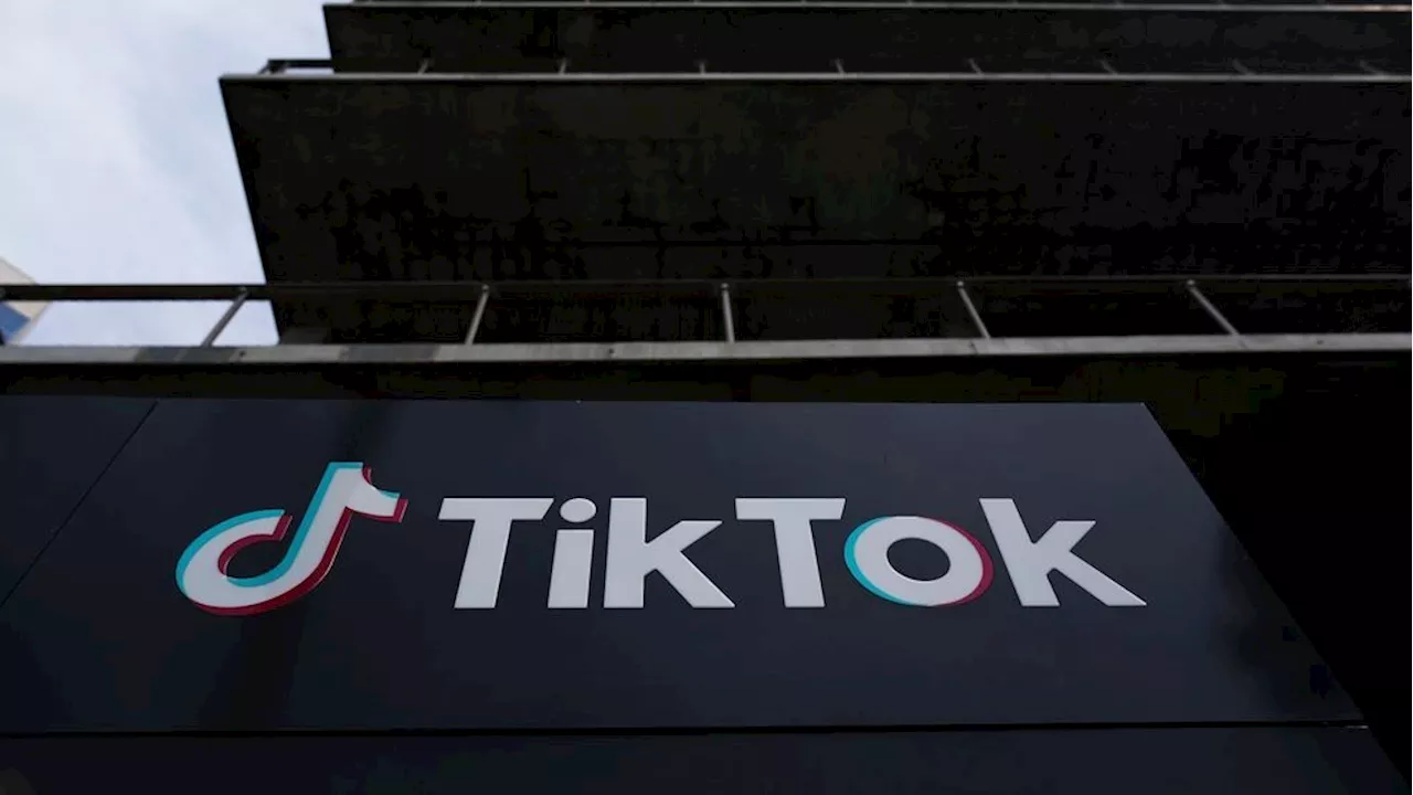 TikTok appeals to Supreme Court to block US ban before Jan. 19 deadline