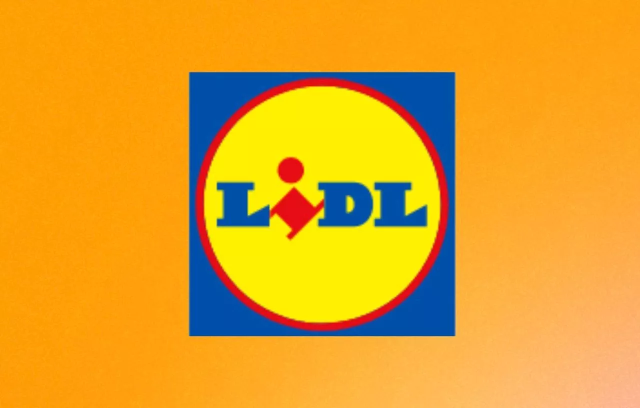 Lidl : Affrontez l’hiver à petit prix avec ces 3 vestes à moins de 15 euros