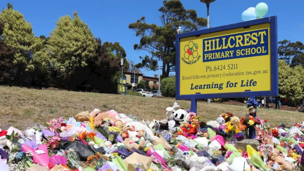 Families of children killed or injured in Hillcrest jumping castle tragedy launch class action against state