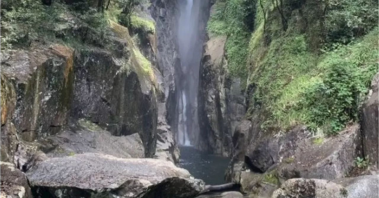 Body found in search for missing tourist at Babinda Falls