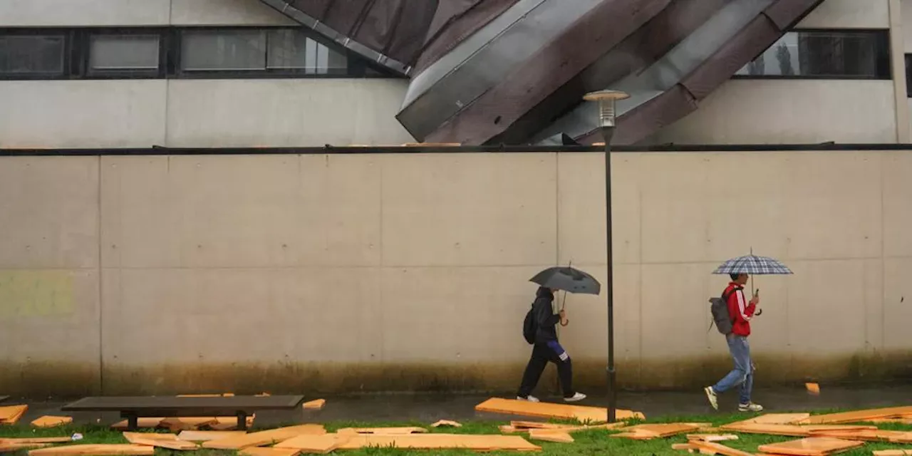 La Aemet avisa de rachas de viento «huracanadas» y heladas intensas en España: estas son las zonas afectada...