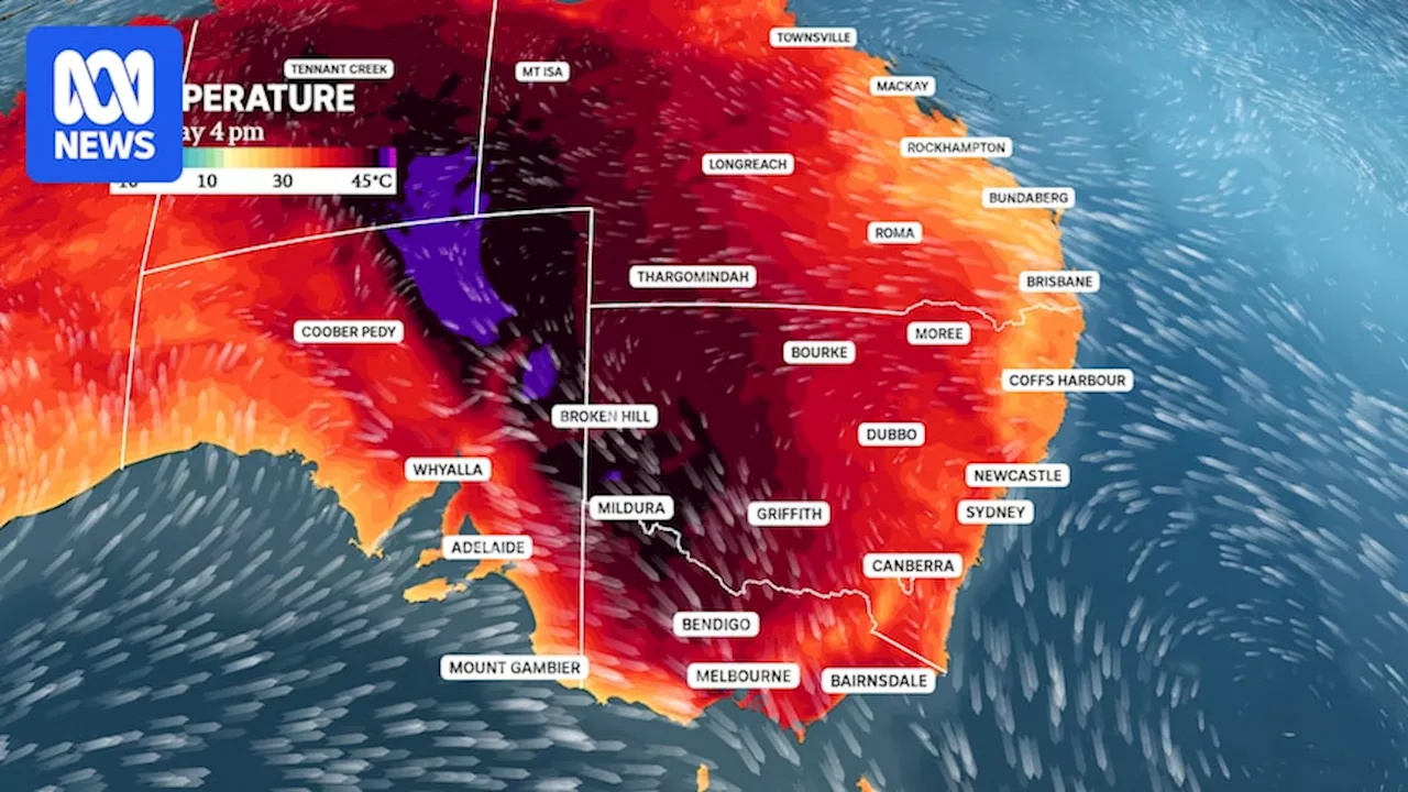 Heatwave causes temperatures to soar, increasing fire danger