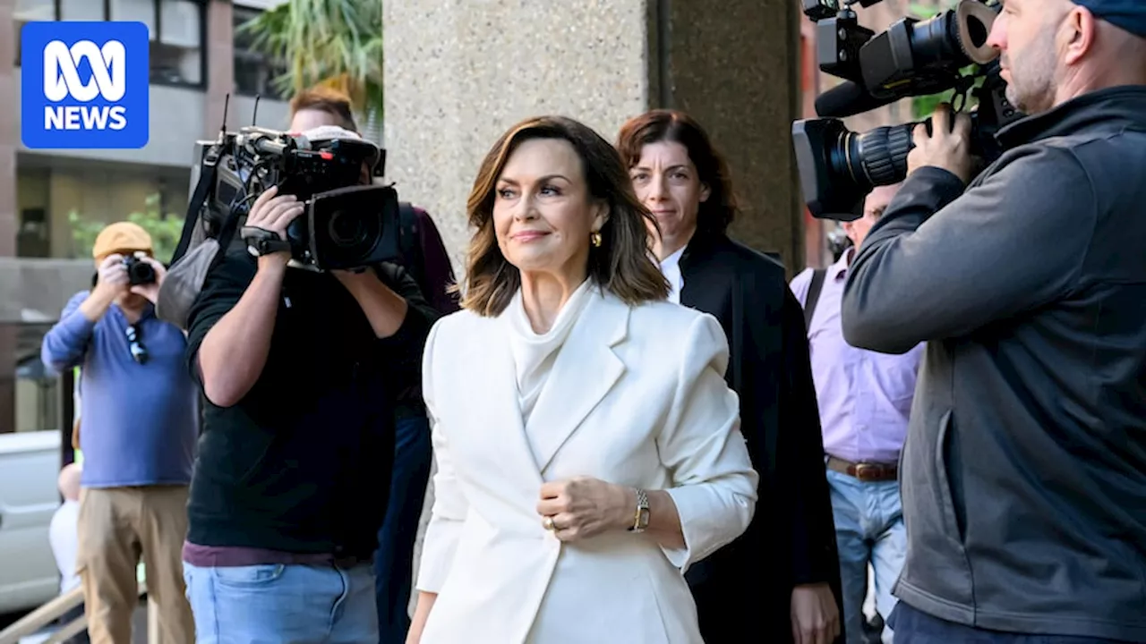 Justice Michael Lee expresses frustration in court as costs dispute between Network Ten and Lisa Wilkinson continues