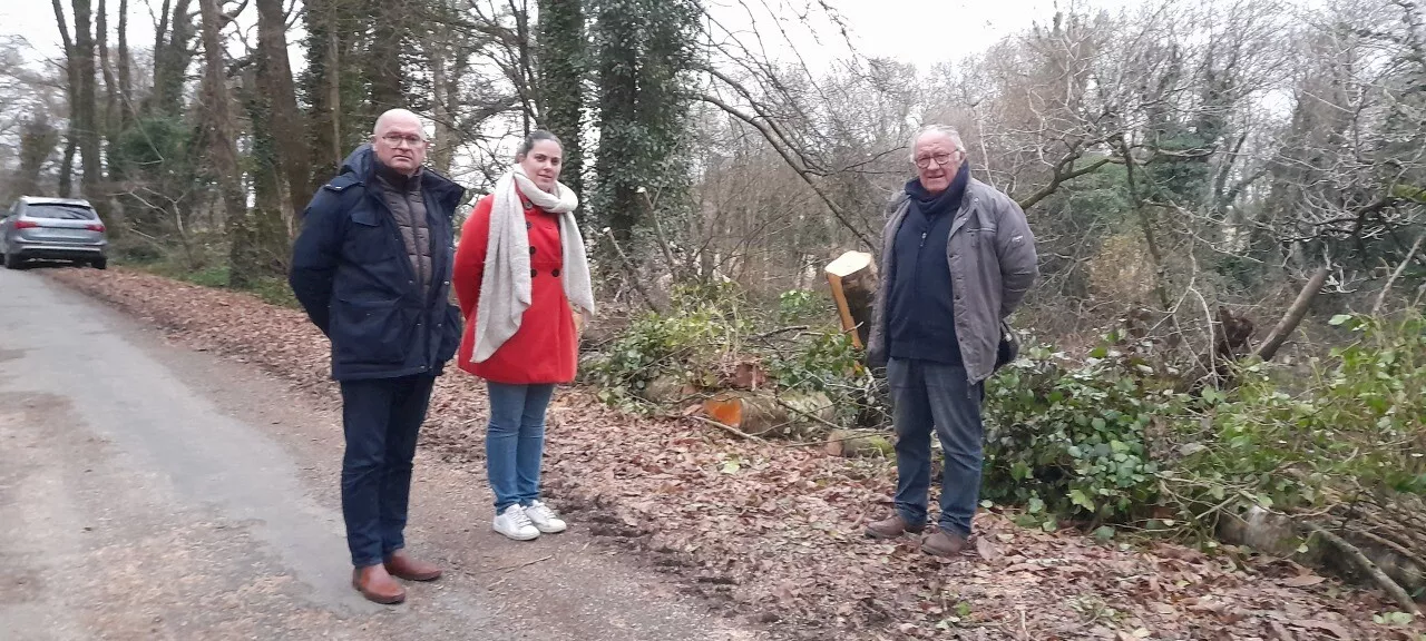 Dans cette commune bretonne, on rappelle que l'élagage c'est aussi l'affaire des propriétaires