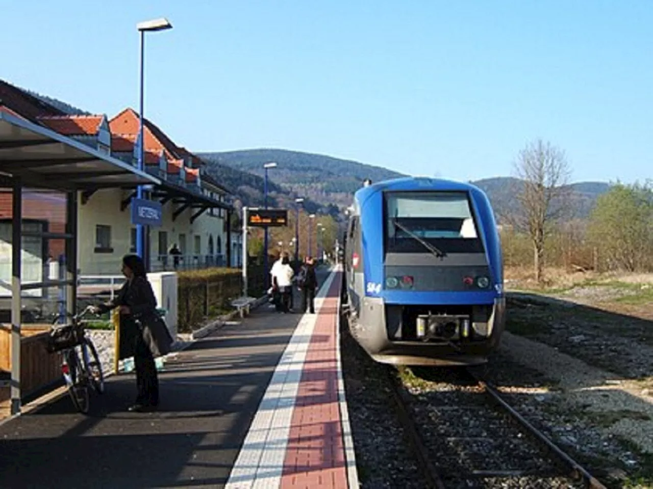 La SNCF augmente le nombre de trajets par jour sur cette ligne du Haut-Rhin