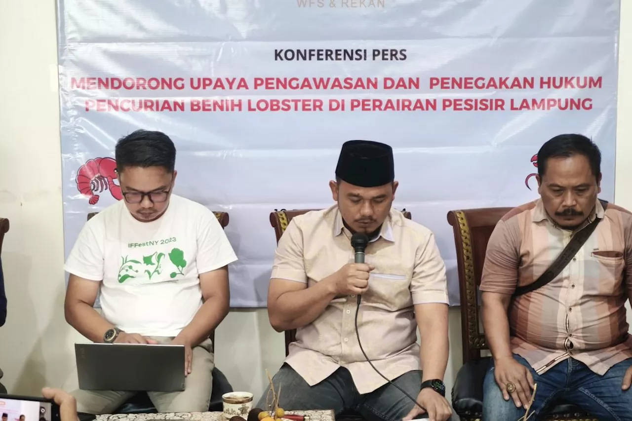 Anggota DPRD Lampung minta APH ungkap pemain besar BBL ilegal