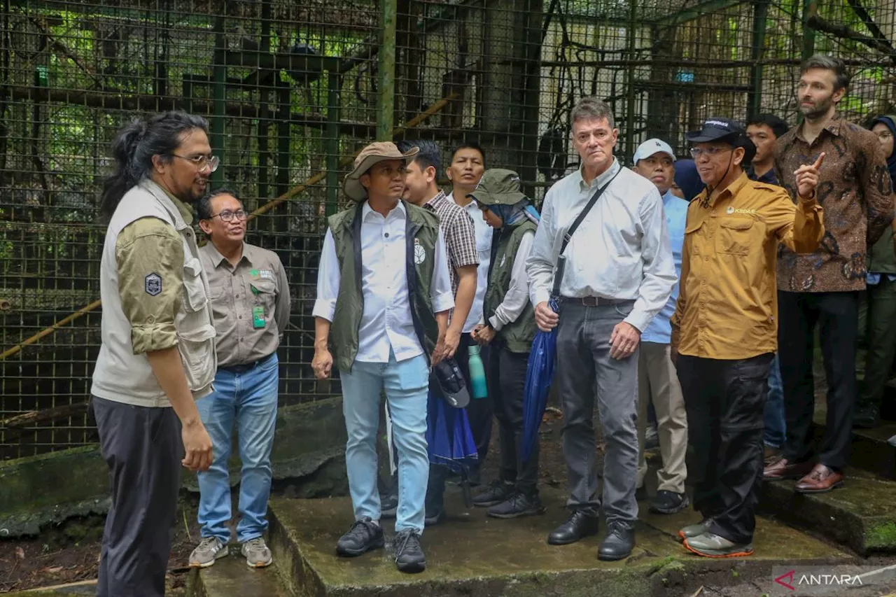 Menhut: Anjing pelacak jadi salah satu antisipasi penyelundupan satwa