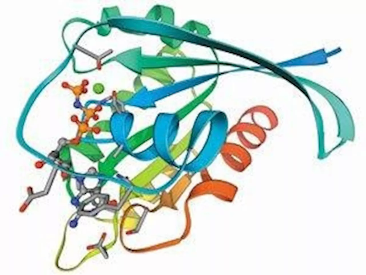 Dynamic Light Scattering (DLS) for Monitoring Protein Aggregation