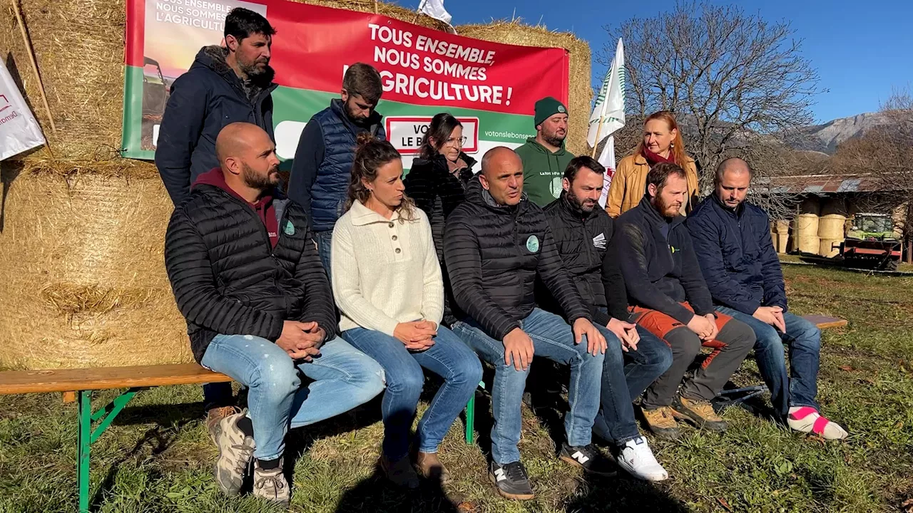 Alpes-de-Haute-Provence: Laurent Depieds, candidat aux élections de la Chambre d'agriculture