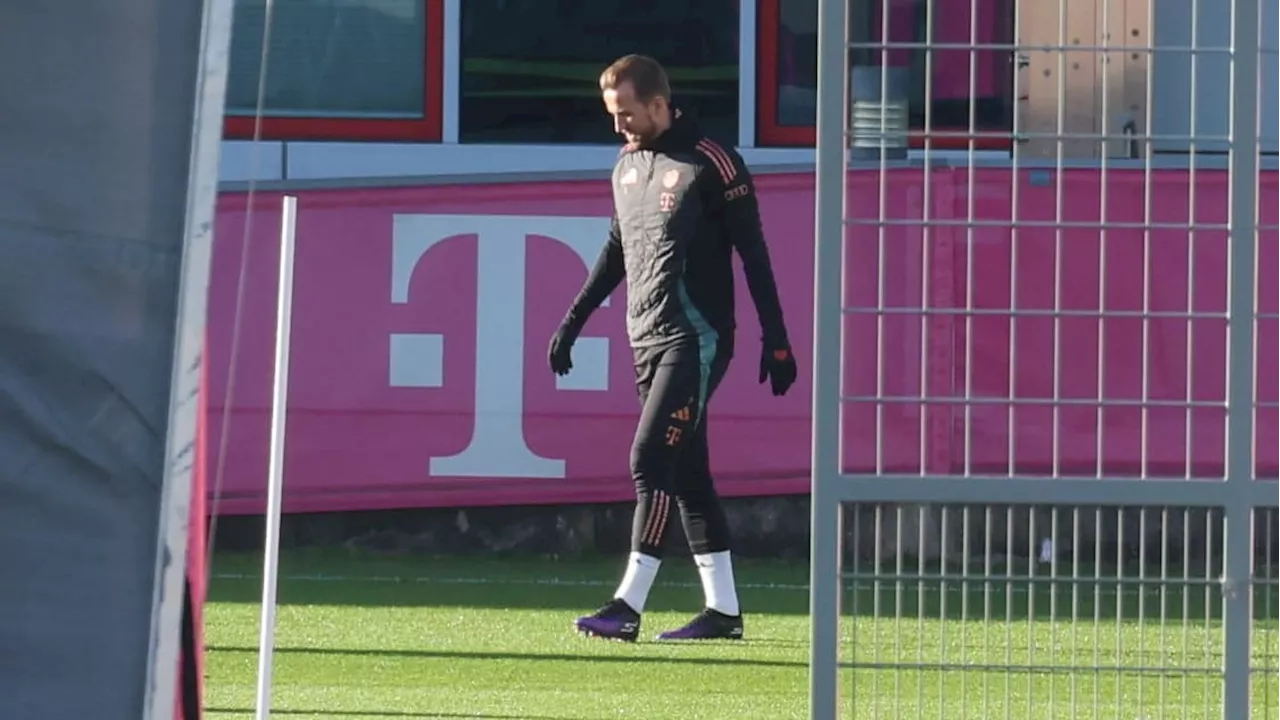 FC Bayern: News zu Harry Kane, Davies, Tel, Gnabry und Stanisic vor dem Leipzig-Kracher!