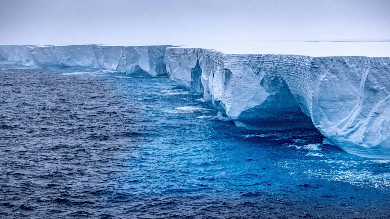 Größter Eisberg der Welt: A23a beginnt seine Reise ins Südpolarmeer