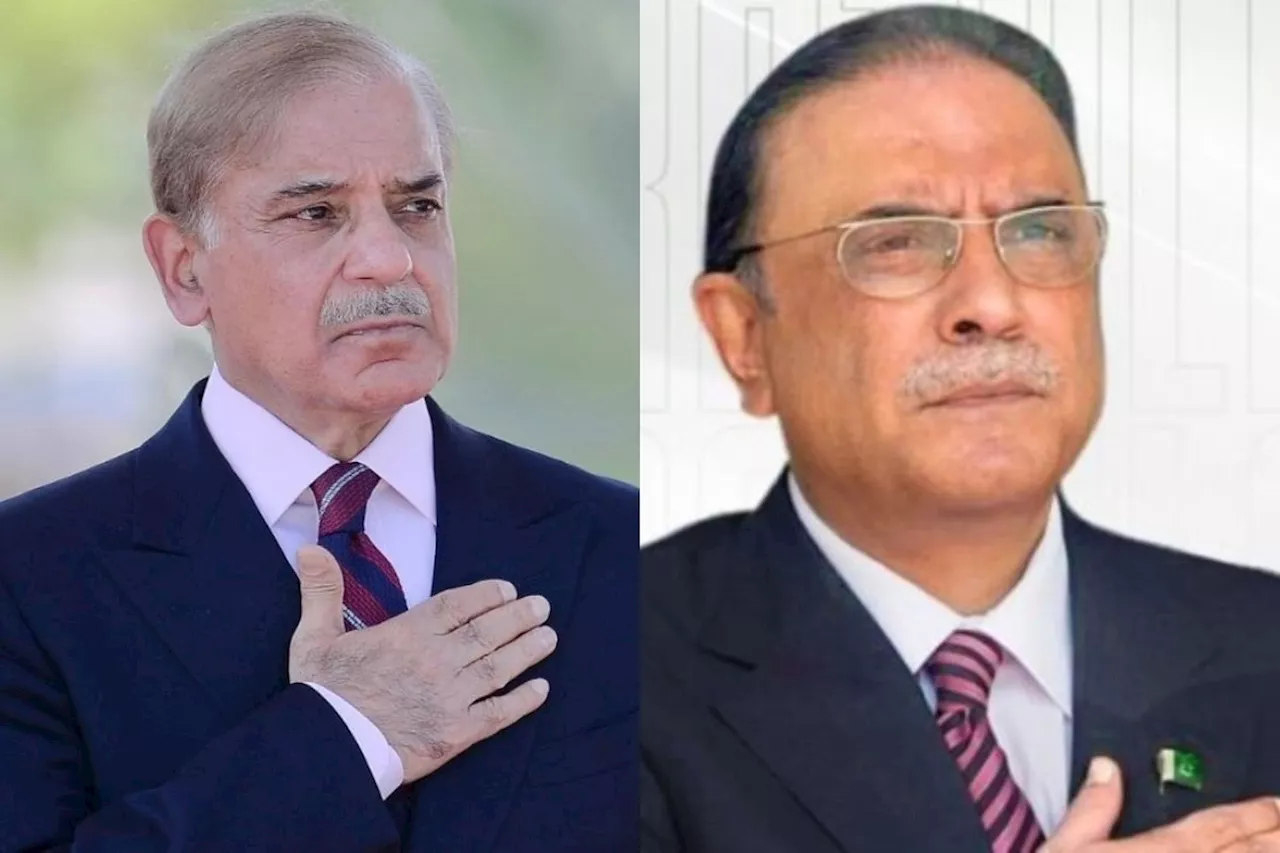 APS Tragedy: President Zardari, PM Shehbaz vow to end tourism