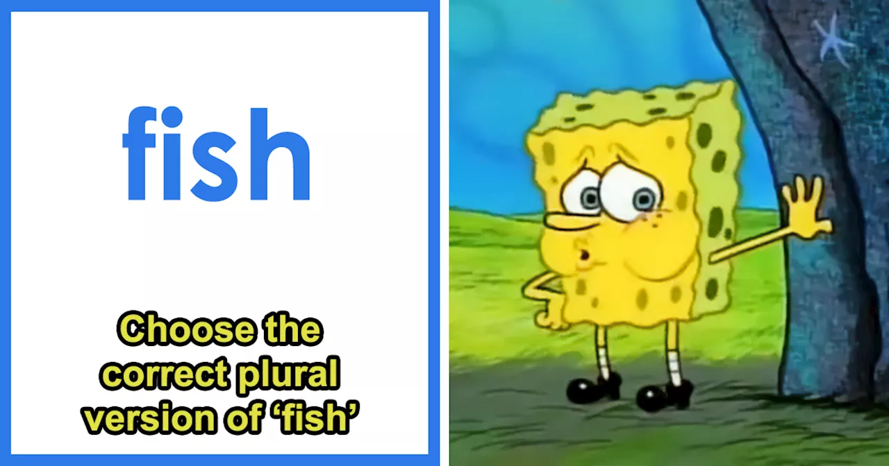 Test Your English Skills With 20 Trivia Questions About Plural Words In English