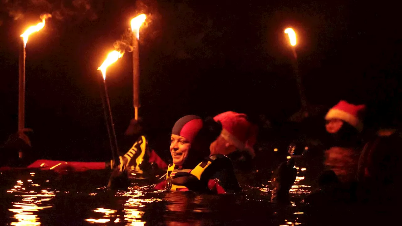 Ins fünf Grad kalte Wasser: Donauschwimmen im Selbstversuch