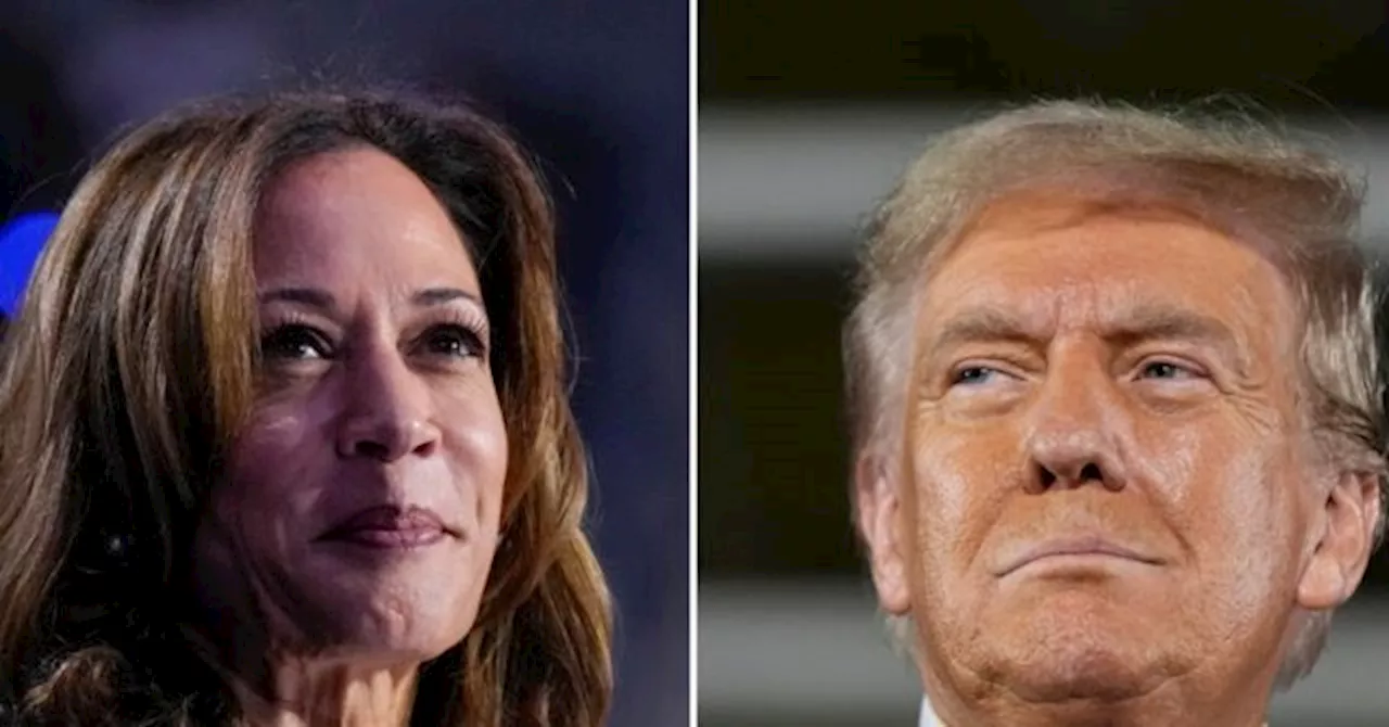 Ann Selzer Says She Did Not Rig Wildly Off Iowa Poll Showing Kamala Leading Trump