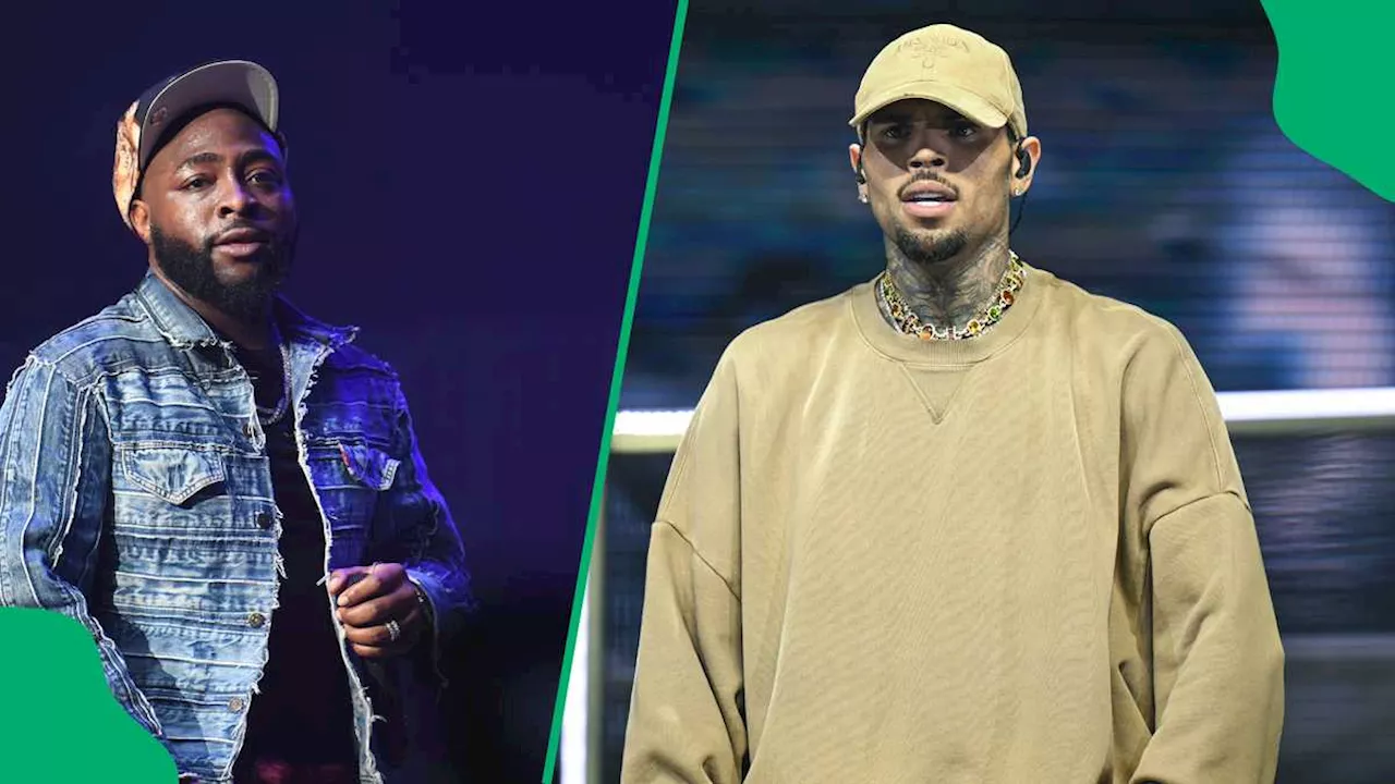 Davido Shares Stage With Chris Brown at FNB Stadium, Fans React: “Loved the Energy They Brought”