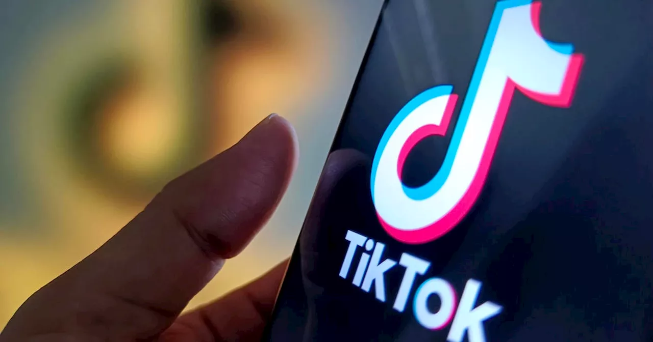 TikTok asks Supreme Court to block ban as Jan. 19 deadline nears