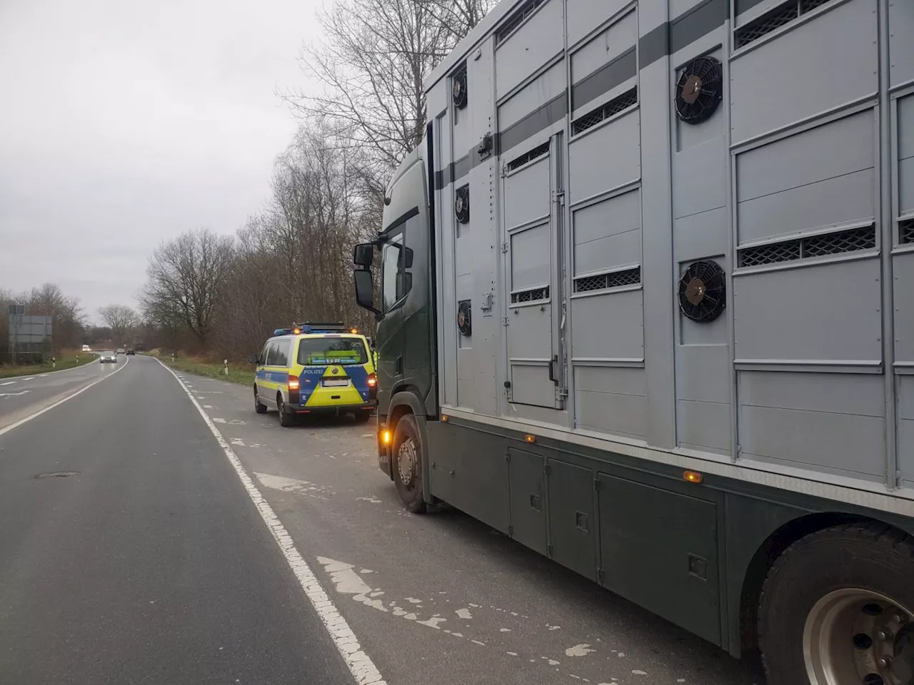 Gemeinsame Kontrollen von Tier- und Lebensmitteltransporten - Polizei und Veterinärwesen des Landkreises Cuxhaven ziehen positives Fazit