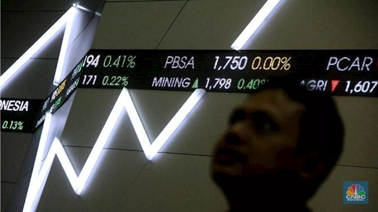 10 Saham Peraup Dana IPO Terjumbo 2024 : AADI Paling Banyak!