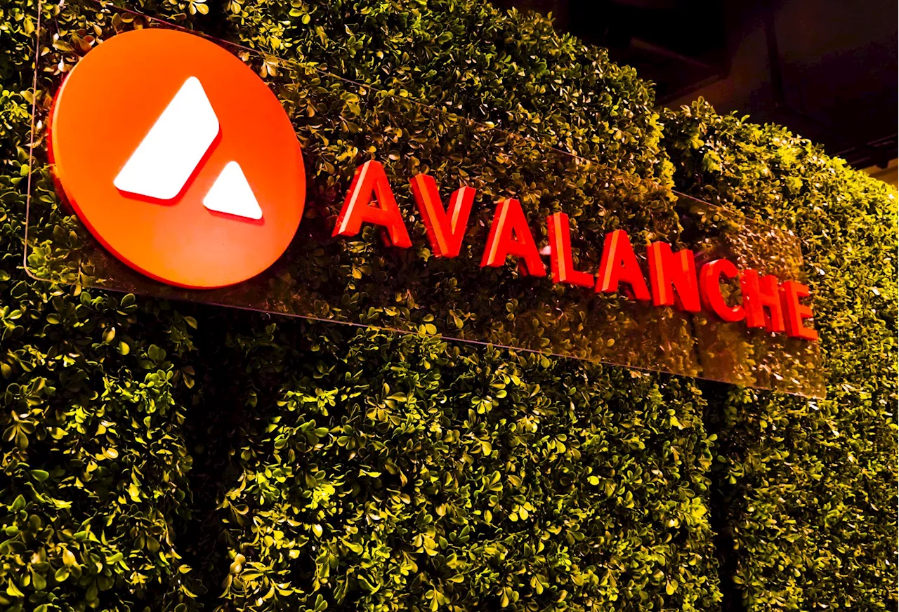 Avalanche Blockchain’s Largest-Ever Upgrade, 'Avalanche9000,' Is Live